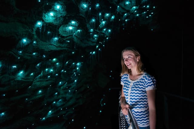 Explore Waitomo's Hidden Wonders: Aranui Cave Tour