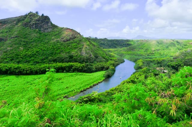 Kauai: Waimea Town & Fern Grotto Tour