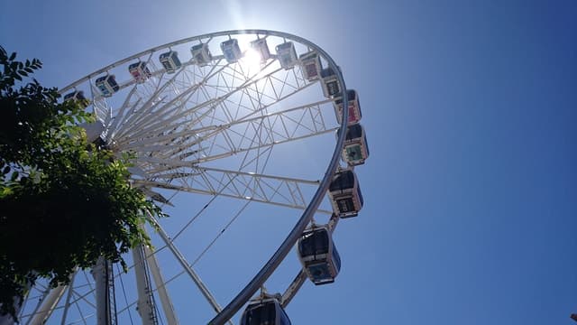 Best Cape Wheel Tours in Cape Town
