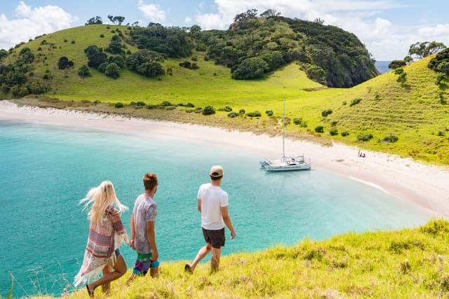 Bay of Islands: Catamaran Sail, Wildlife Island & Lunch