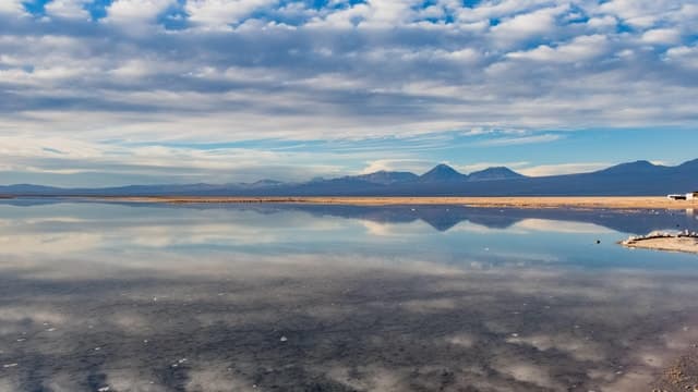 Piedras Rojas, Altiplanics Lagoons & Salar Full-Day Tour