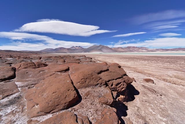 Piedras Rojas, Altiplanics Lagoons & Salar Full-Day Tour
