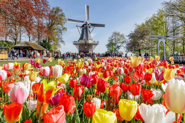 Amsterdam: Keukenhof, Zaanse Schans & Volendam Guided Tour