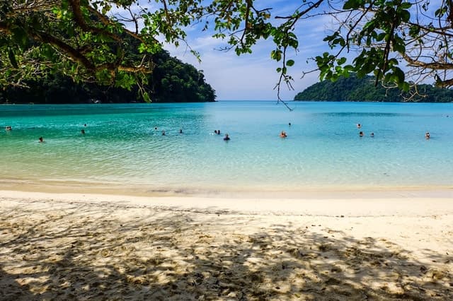 Best Surin Islands Snorkeling Tours & Marine Adventures
