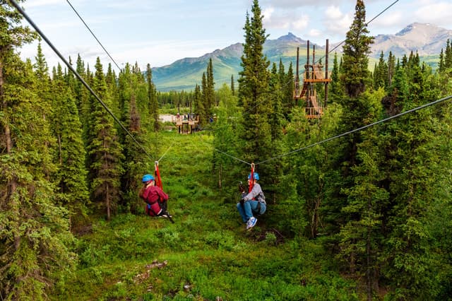 Denali Naturalist Walking Tour