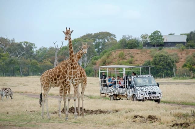 Werribee Open Range Zoo: Entry Ticket