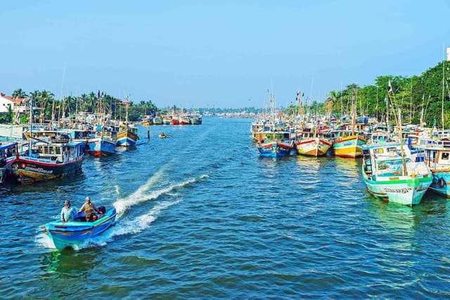 Negombo: Hamilton Canal to Colombo by Boat via Muthurajawela