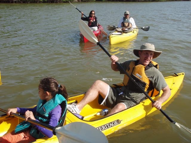 Everglades National Park 3-Hour Kayak Eco Tour