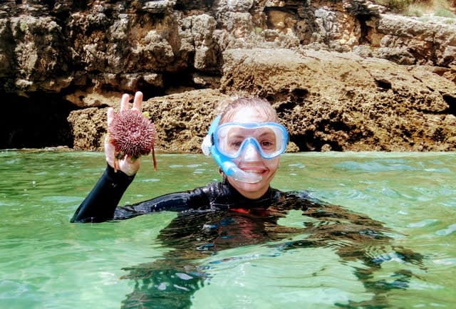 Best Arrábida Snorkeling Tours Near Lisbon