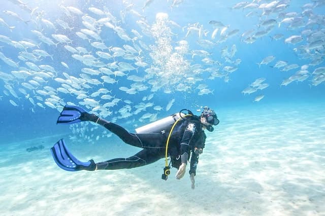 PADI Open Water Certification Course in Dubai