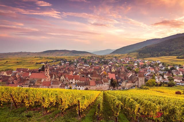 Unforgettable Alsace Villages Tour & Colmar Getaways