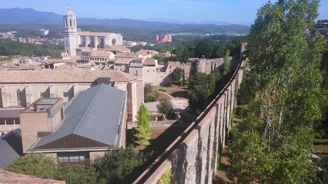 From Girona: Small-Group Jewish History Tour Visiting Besalú