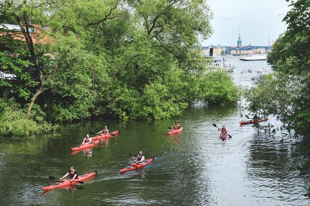 Stockholm: Self-Guided 1 or 2-Person Kayak Tour