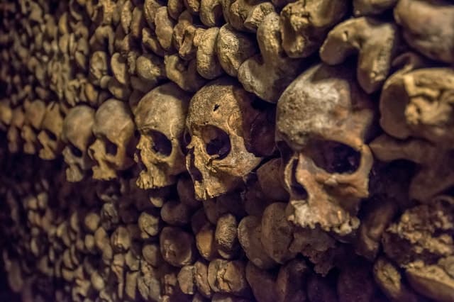 Explore the Hidden Underground World of Paris