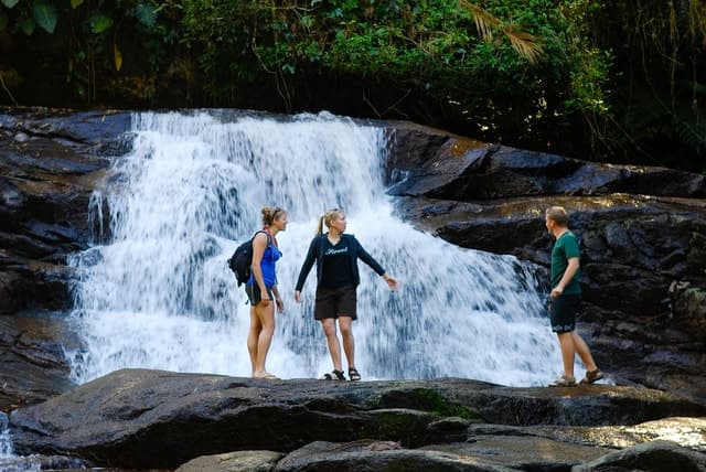 Paraty: Jungle Waterfalls and Cachaça Distillery Jeep Tour
