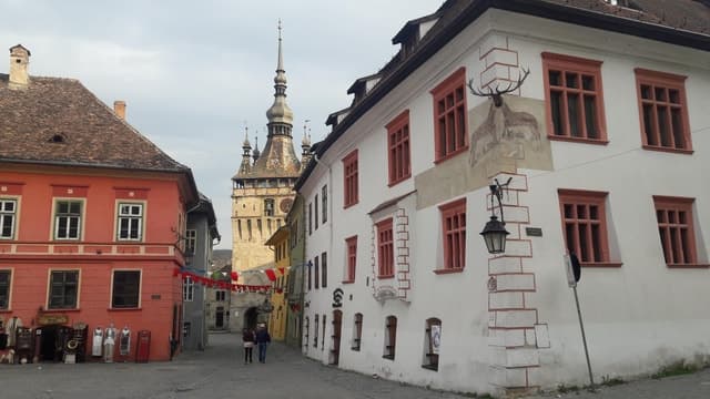 Best Brașov Day Trips & Guided Tours in Brasov