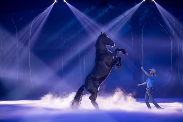 Gold Coast: Australian Outback Spectacular Dinner & Show