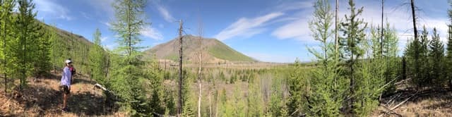 Glacier National Park: Morning Nature Walk