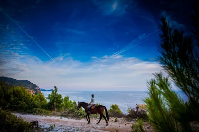 Dubrovnik Kojan Koral: Horseback riding with transport