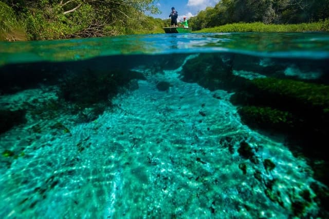 Bonito: Sucuri River Snorkeling Tour