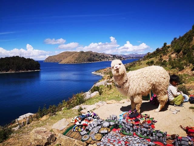 From Puno: Sun Island and Copacabana 1-Day Tour
