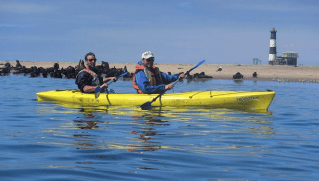 Walvis Bay: Pelican Point Kayaking Tour