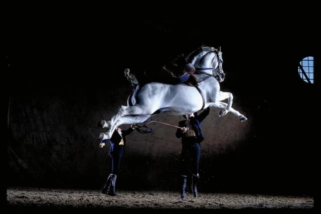 Jerez de la Frontera: Andalusian Horse Dance and Museums
