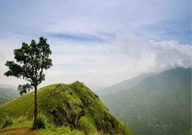 Best Kandy to Nuwara Eliya Transfer & Highland Tours