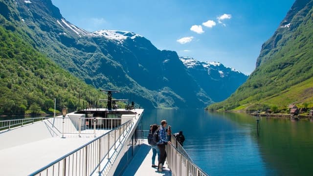 Best Nærøyfjord & Flåm Railway Tours from Bergen