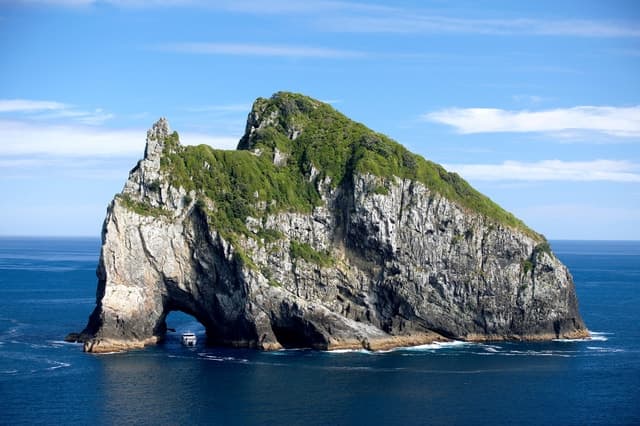 Paihia/Russell: Hole in the Rock, Dolphins & Island Cruise