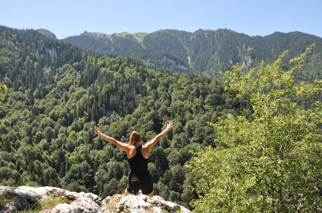 Best Seven Ladders Canyon Tours from Brasov