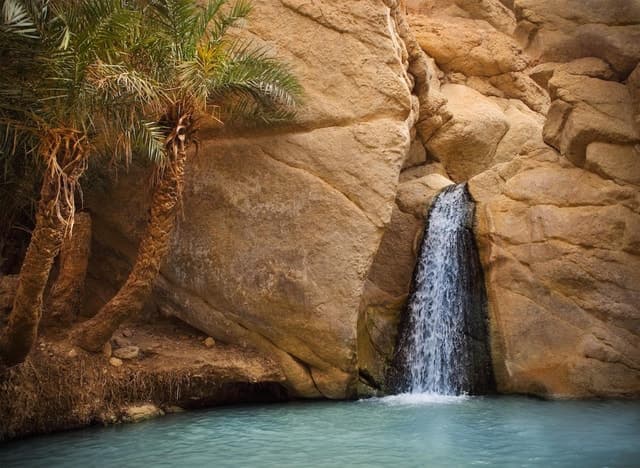 Explore Hidden Gems: Tozeur Mountain Oases Expedition