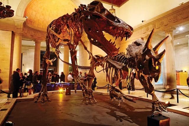 Top Tours at Natural History Museum LA