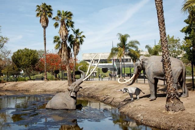 Explore Ice Age Wonders at La Brea Tar Pits, Los Angeles