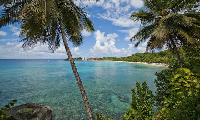 Sosua: Beach Day and Stand Up Paddle Boarding