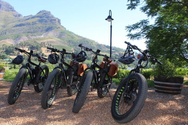 Stellenbosch Wine Safari: The Ultimate Winelands Experience