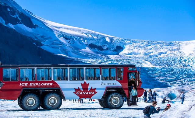 Jasper: Columbia Icefield Skywalk and Ice Explorer Ticket
