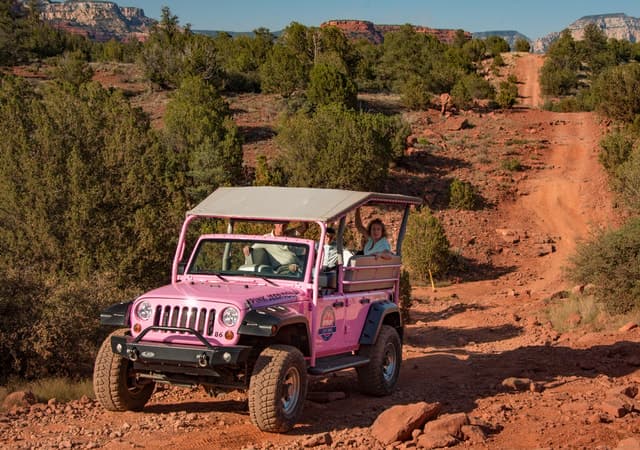 Diamondback Gulch Pink Jeep Tour
