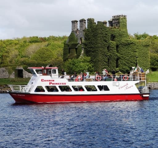 Galway City: Scenic Cruise of Corrib River & Lake