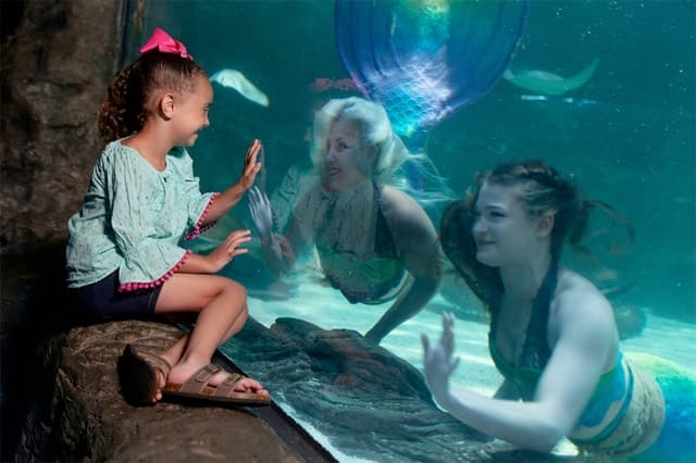 Ripley's Aquarium Myrtle Beach Tours