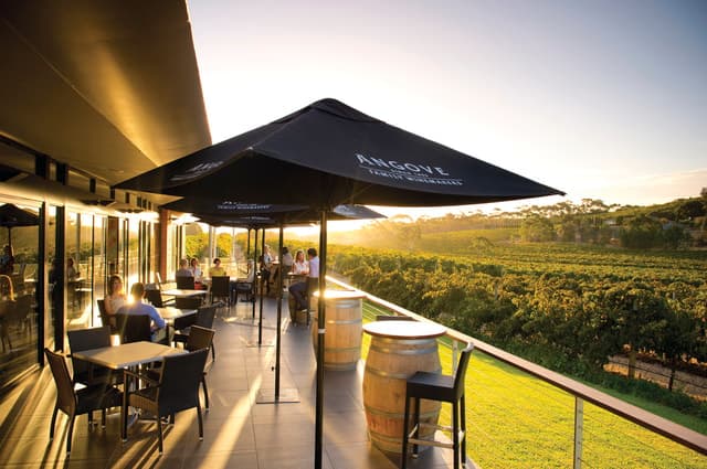 McLaren Vale North: Hop-On Hop-Off Tour