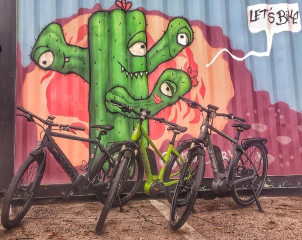 Austin: Electric Bike City Tour of Top Sights & Murals