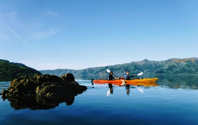 Akaroa Marine Reserve Kayak Safari