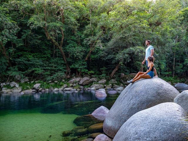 Port Douglas: Daintree Rainforest and Cape Tribulation Tour
