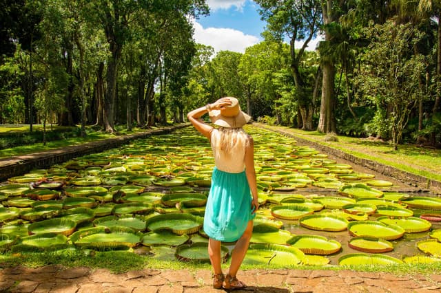 Mauritius: Private Full-Day Iconic Instagram Spots