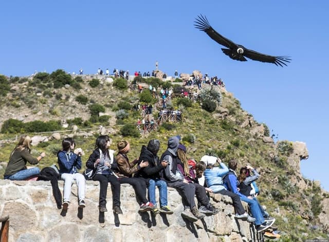 Colca Canyon: 2-Day Tour from Arequipa to Puno