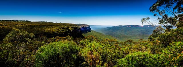 From Sydney: Blue Mountains Small-Group Hike & Picnic Tour