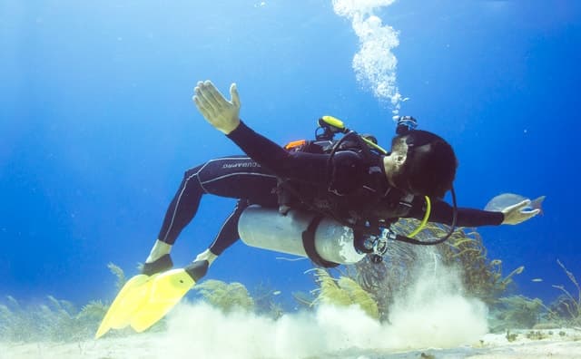 Best Snorkeling Adventures at Chankanaab Park, Cozumel