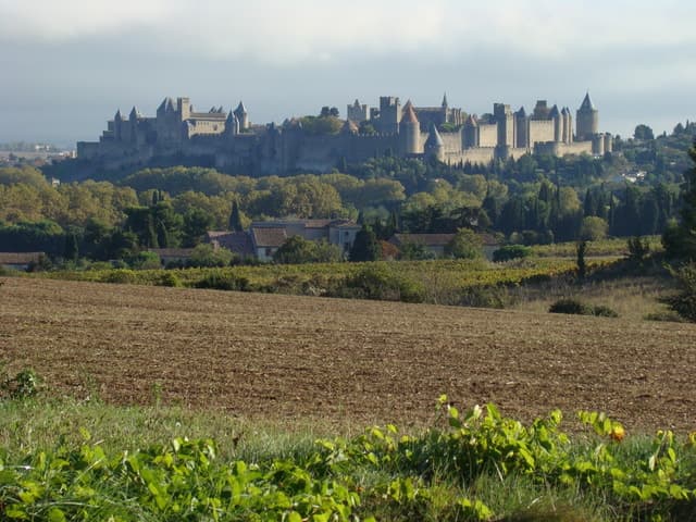 Toulouse to Carcassonne & Albi: Private Sightseeing Tour