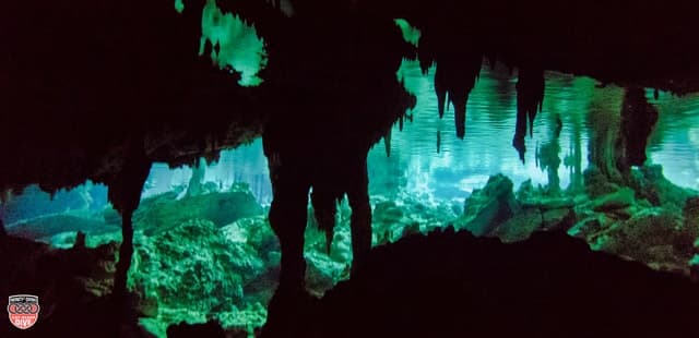 Tulum: Casa Cenote and Dos Ojos Trip for Certified Divers